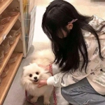 天黑请闭眼app小游戏下载